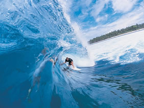 mentawai