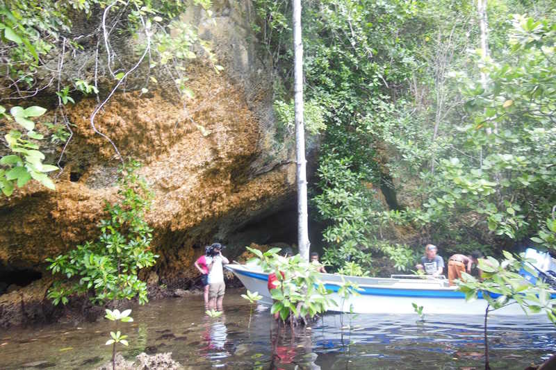 papua