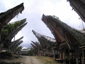 rumah adat toraja